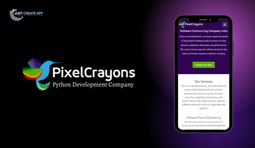 Pixel Caryons Python software Development company
