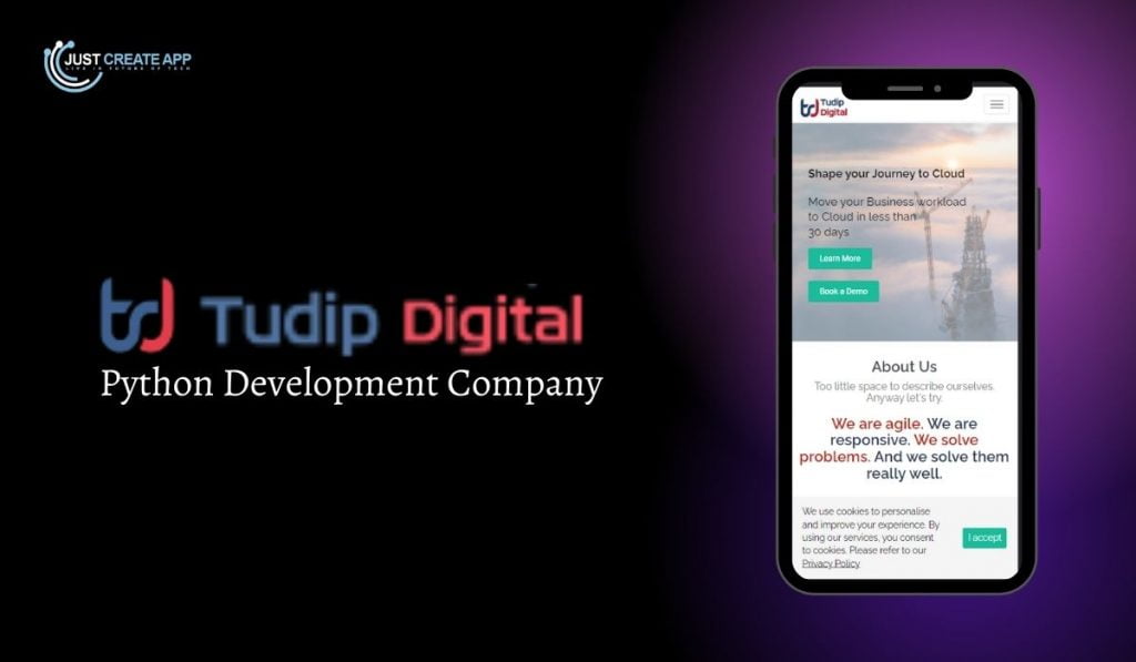 Tudib technologies Python software Development company