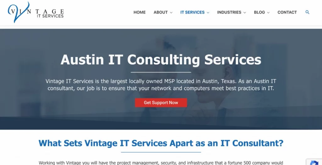 Vintage IT consultant texas