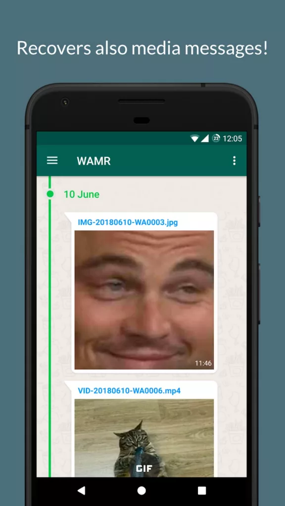 WAMR App For WhatsApp