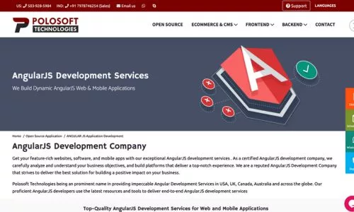 Polosoft Technologies AngularJS Development Firm