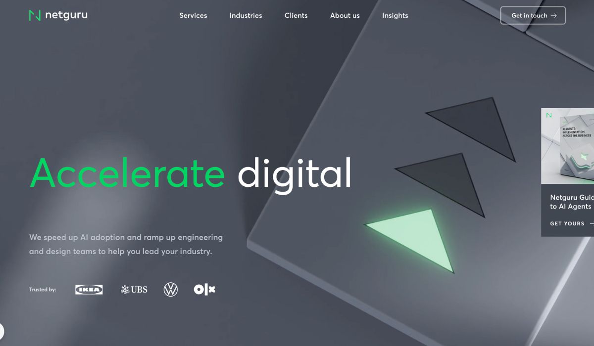 Netguru