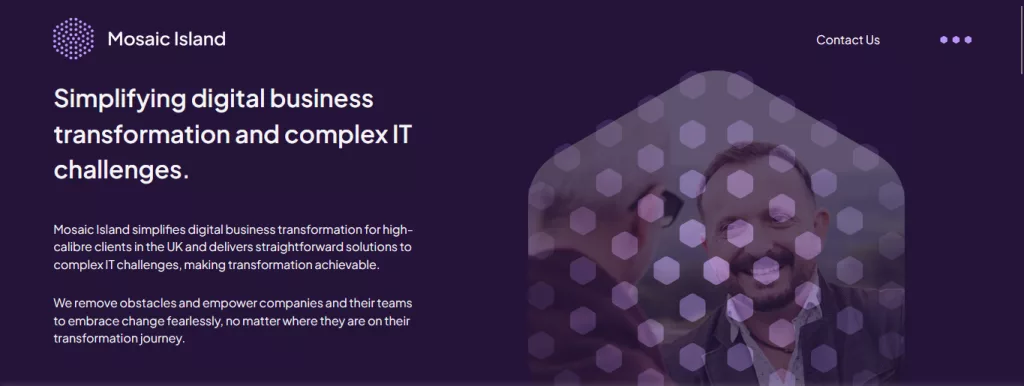 IT Architecture Consulting Service Provider