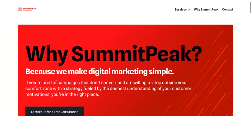 SaaS Product Development Firm