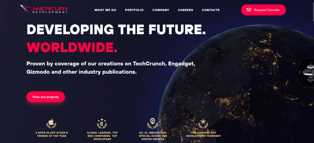 Professional Custom Software Development Agency