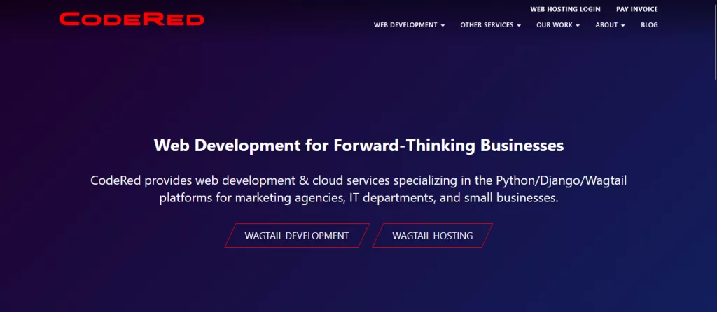 Best Python Development Company