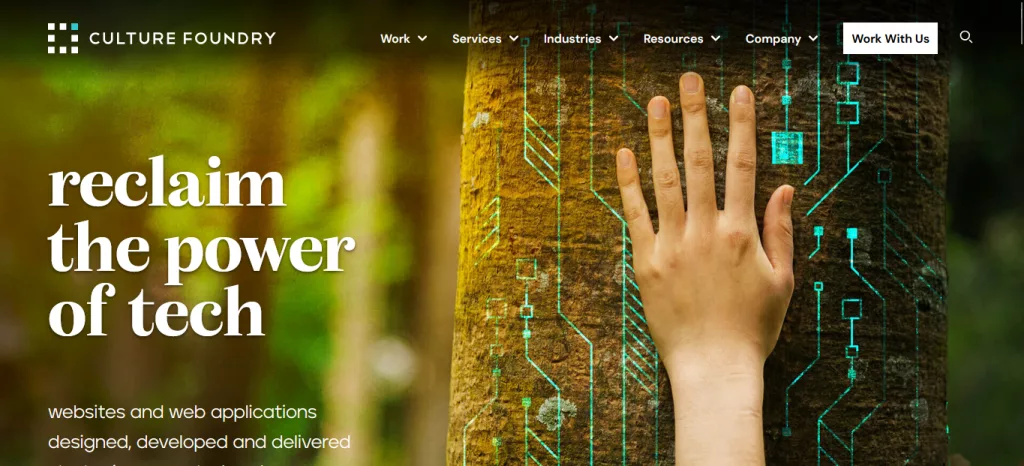 Top Python Django Development Firm