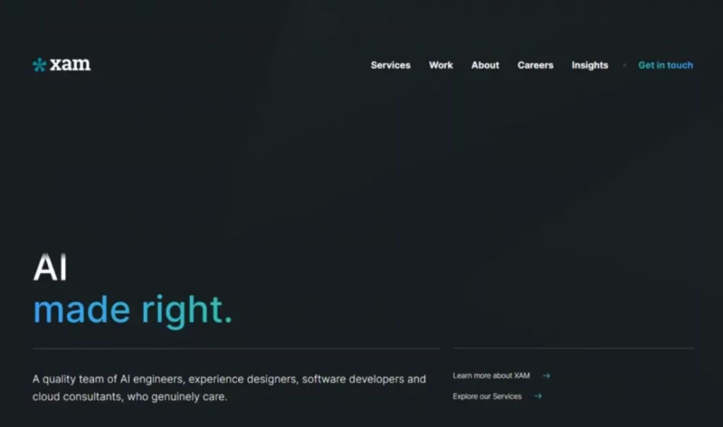 Best Custom Software Development Services Australia
