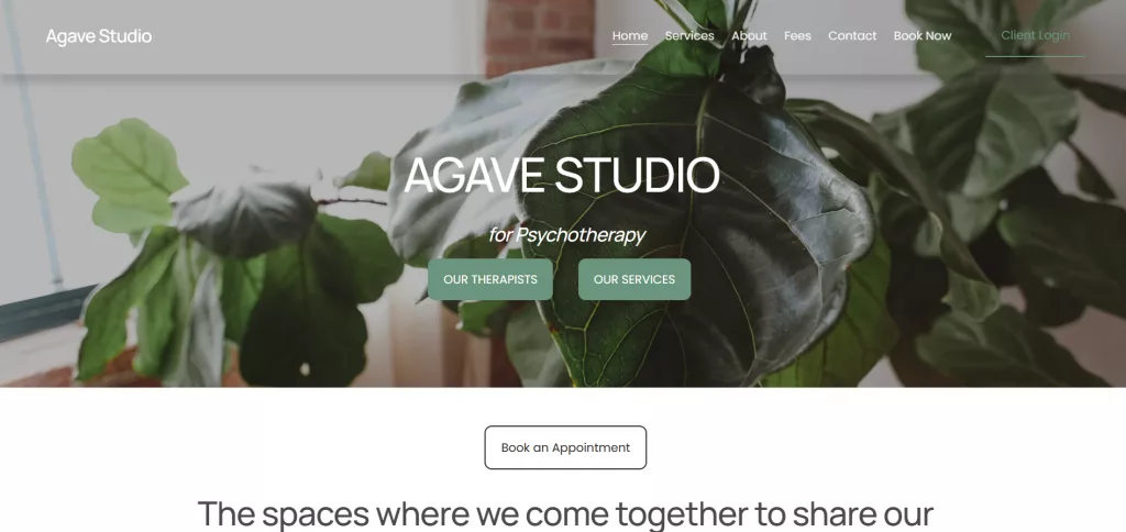 Agave Studio