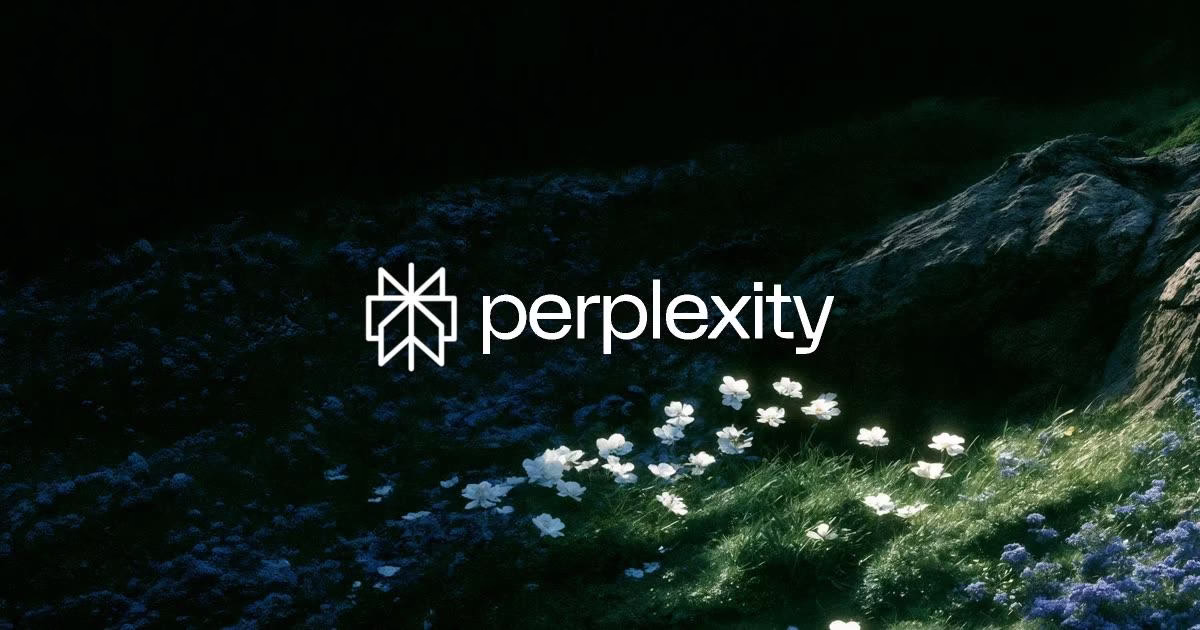Perplexity official product visual
