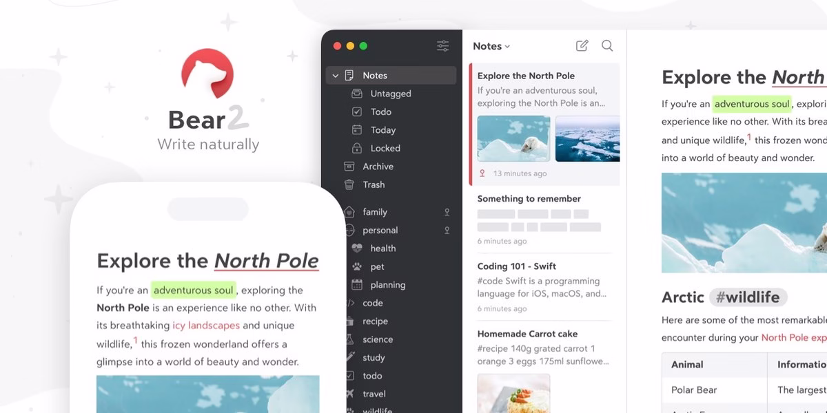 Bear banner for the Markdown notes app