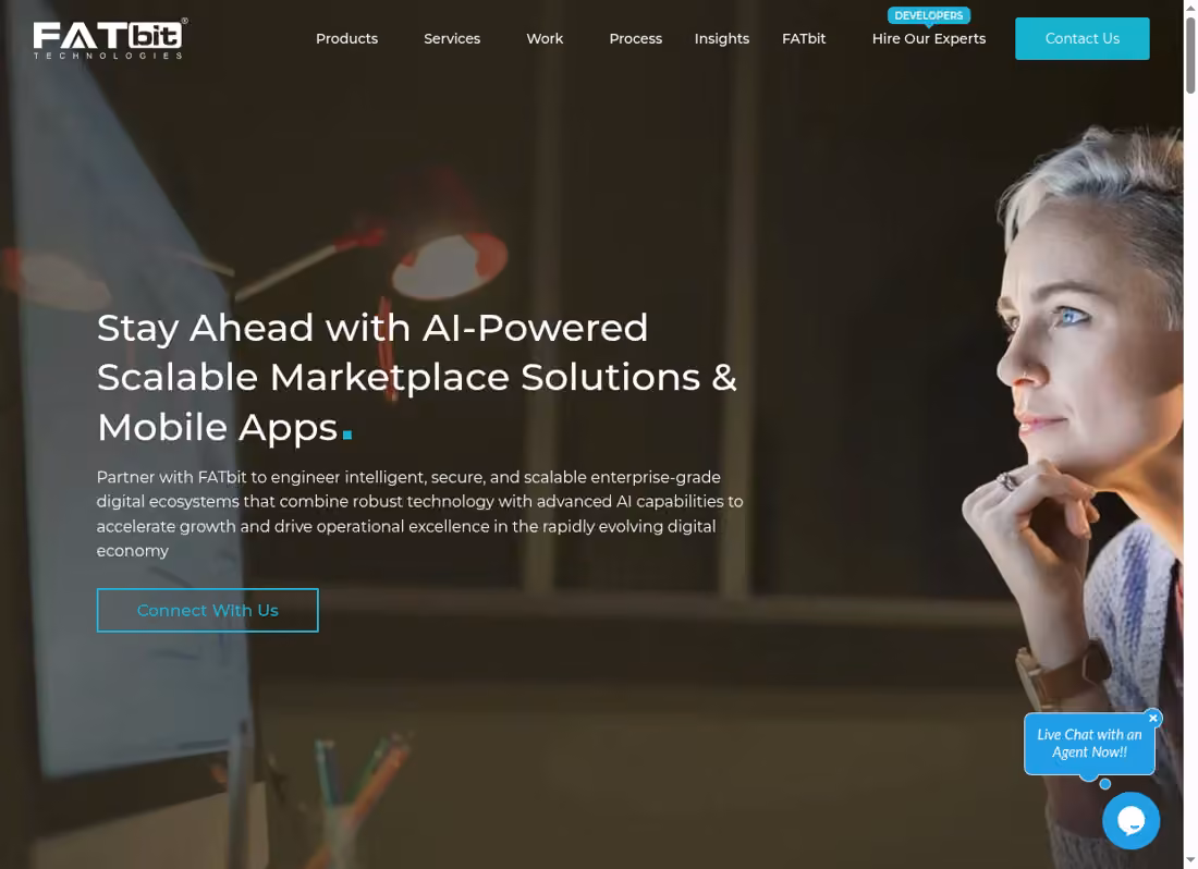 FATbit Technologies desktop homepage showing its current services